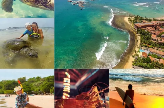 Best Places To Visit In Hikkaduwa