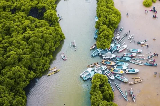Top Places to Visit in Negombo