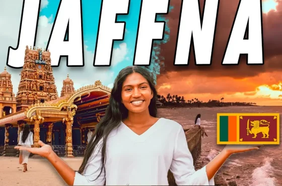 Best Things to Do in Jaffna