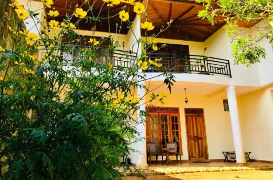 Hotels Near Adams Peak