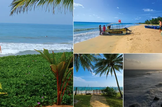 Sri Lankan Beaches