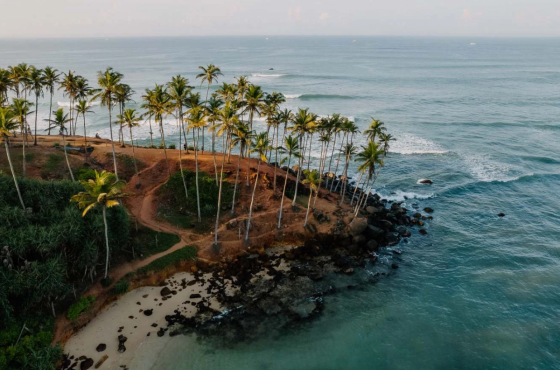 WHERE TO STAY IN MIRISSA / LUXURY HOTELS